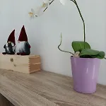 Casa Di Diego *