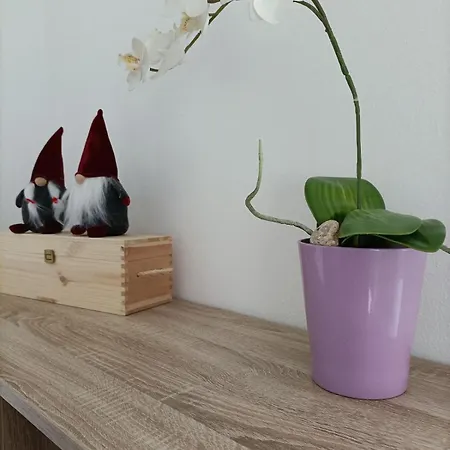 Casa Di Diego *